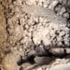 2c-b hcl powder