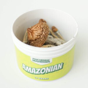 amazonian magic mushrooms
