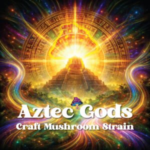 aztec god mushroom