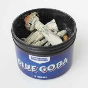blue goba mushroom
