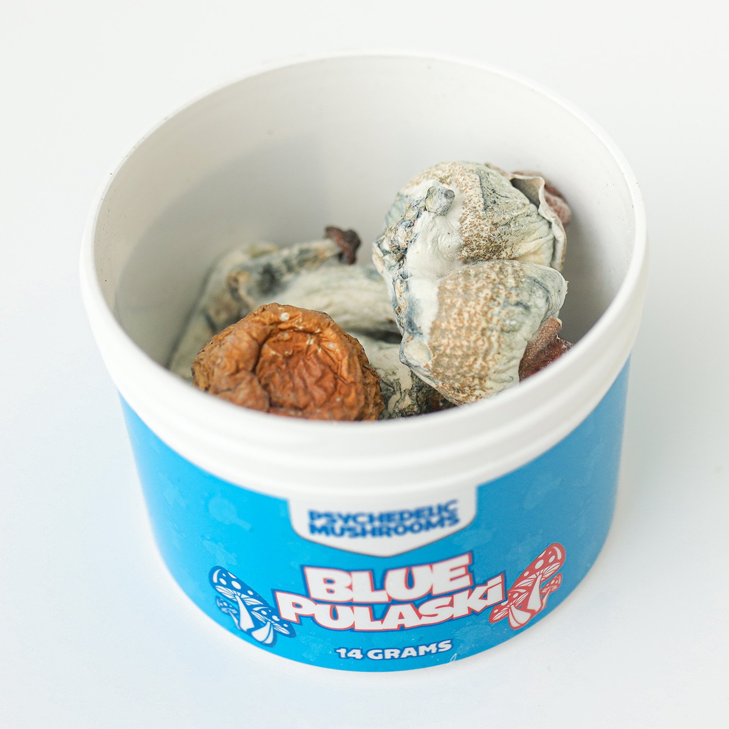 blue pulaski mushrooms