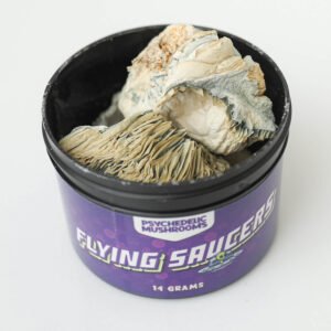 Flying Saucer