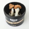 golden teacher