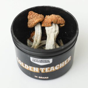 golden teacher