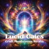 lucid gates mushrooms