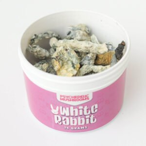 white rabbit mushrooms