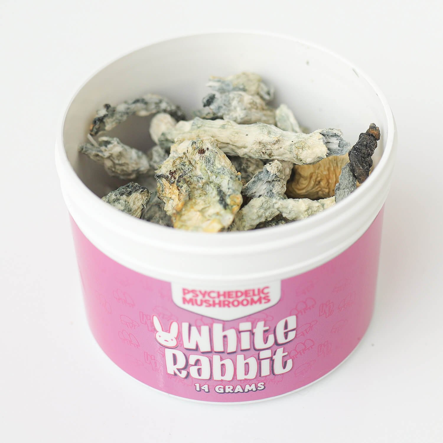 white rabbit mushrooms